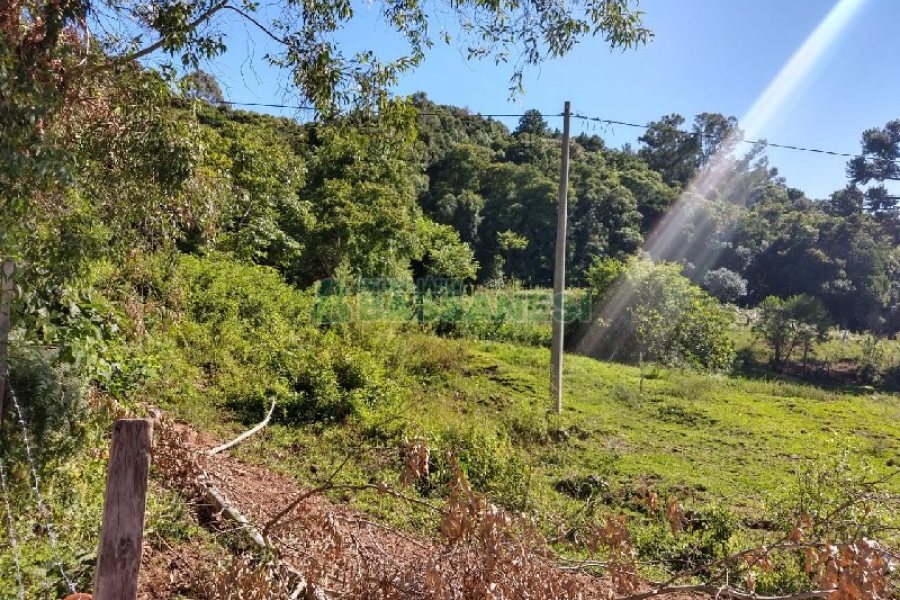 Terreno com 22554m², no bairro Pioneiro em Caxias do Sul para Comprar