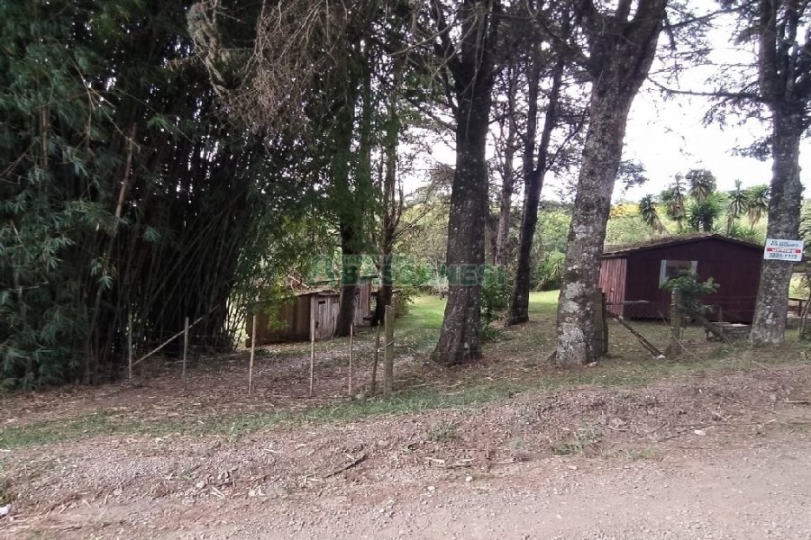 Chácara, no bairro Monte Bérico em Caxias do Sul para Comprar
