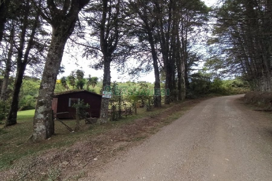 Chácara, no bairro Monte Bérico em Caxias do Sul para Comprar