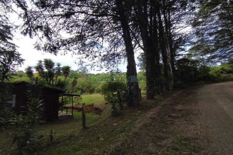 Chácara, no bairro Monte Bérico em Caxias do Sul para Comprar