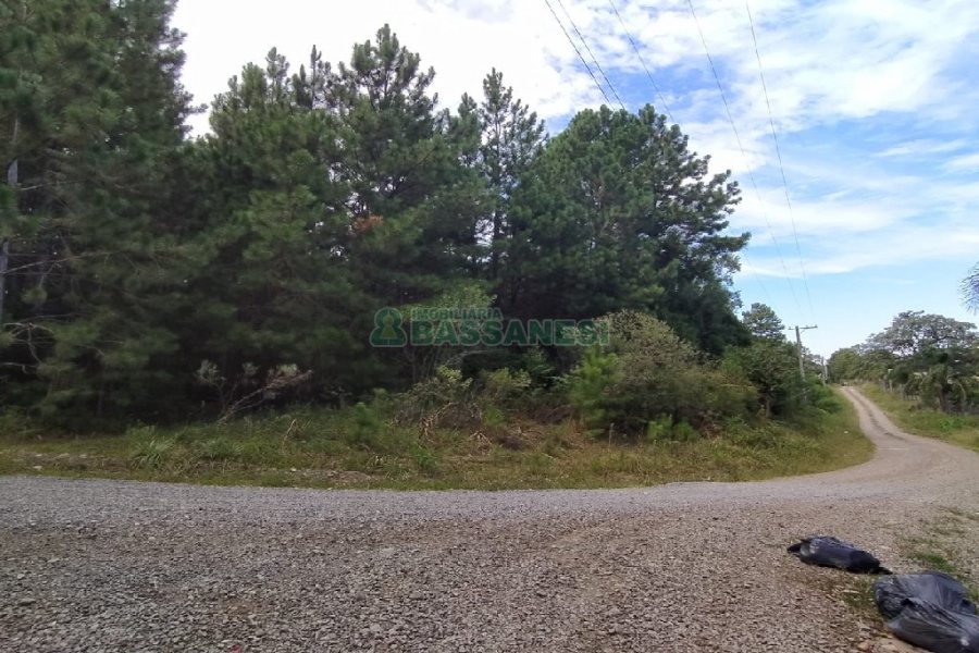 Chácara, no bairro Monte Bérico em Caxias do Sul para Comprar
