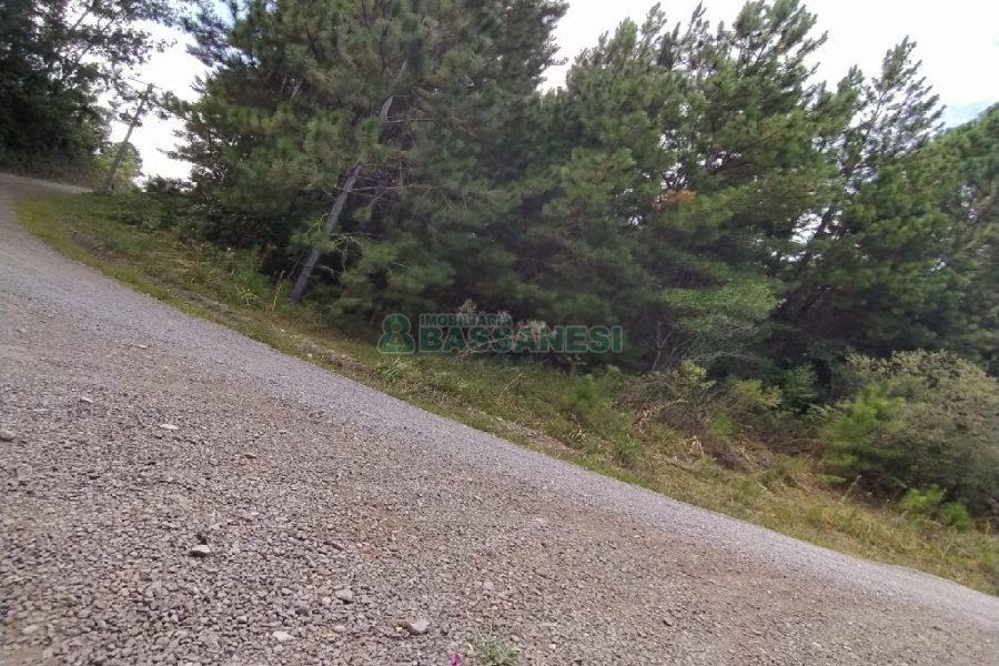 Chácara, no bairro Monte Bérico em Caxias do Sul para Comprar