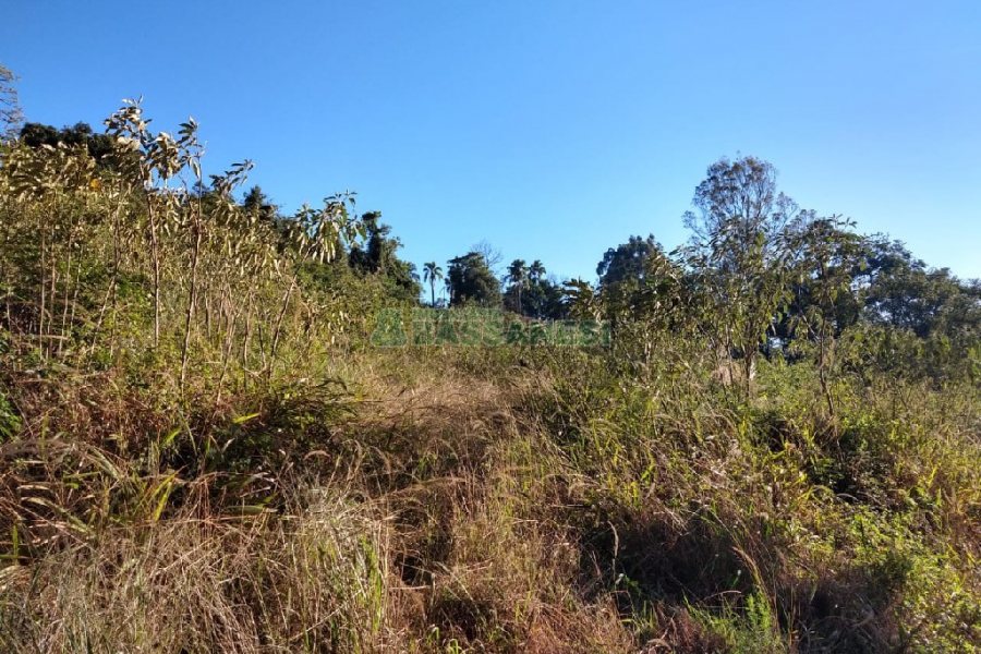 Terreno com 9483m², no bairro São Caetano em Caxias do Sul para Comprar