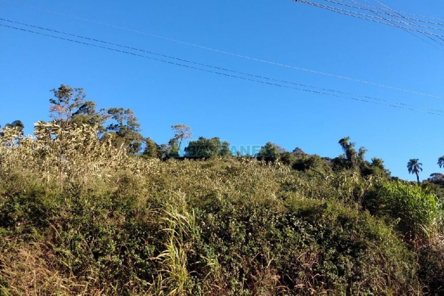 Terreno com 9483m², no bairro São Caetano em Caxias do Sul para Comprar