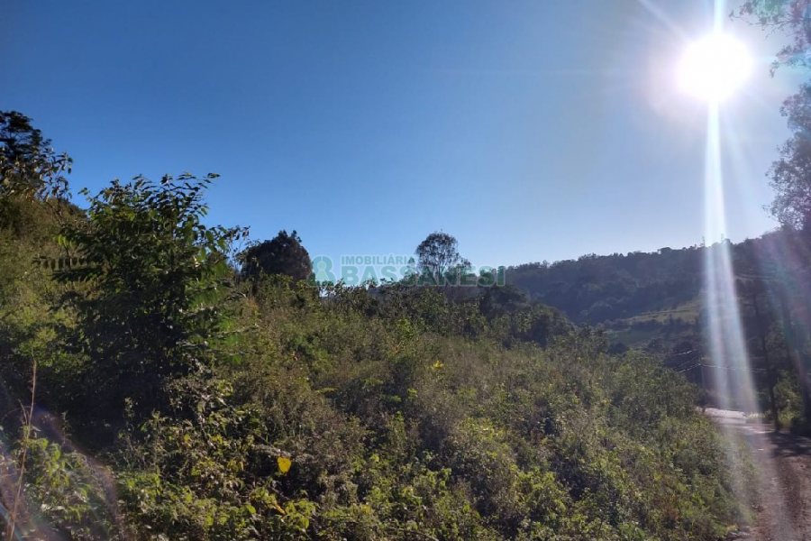 Terreno com 9483m², no bairro São Caetano em Caxias do Sul para Comprar