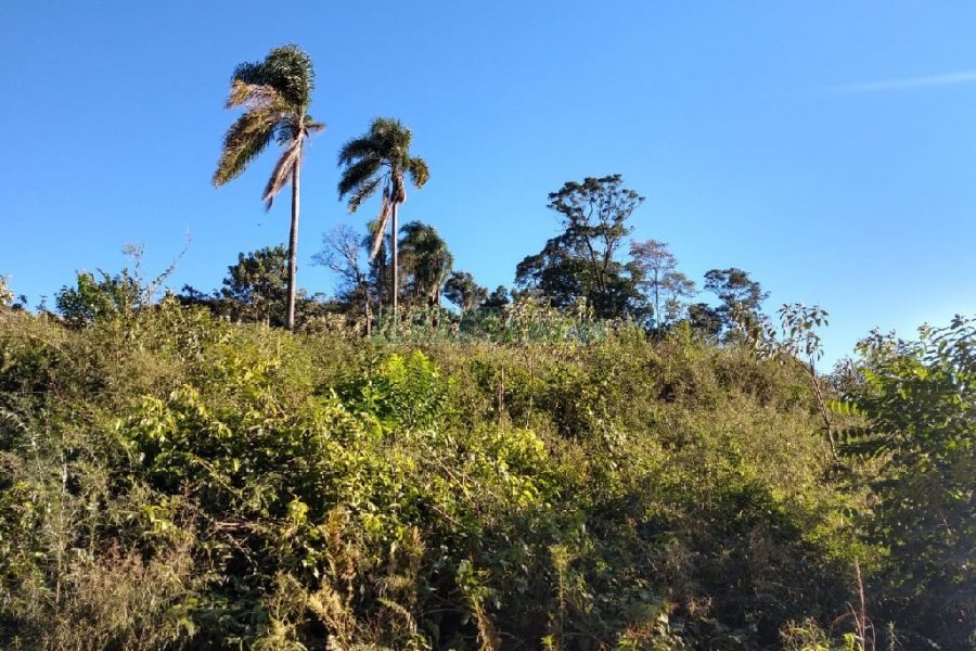 Terreno com 9483m², no bairro São Caetano em Caxias do Sul para Comprar