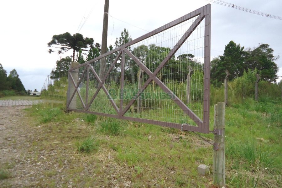 Terreno com 25000m², no bairro Cidade Nova em Caxias do Sul para Alugar