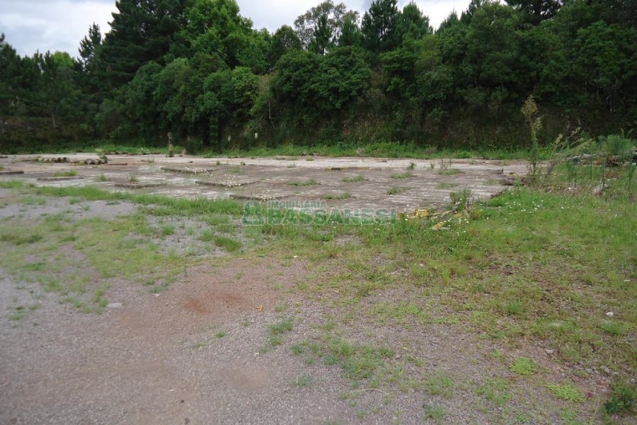 Terreno com 25000m², no bairro Cidade Nova em Caxias do Sul para Alugar