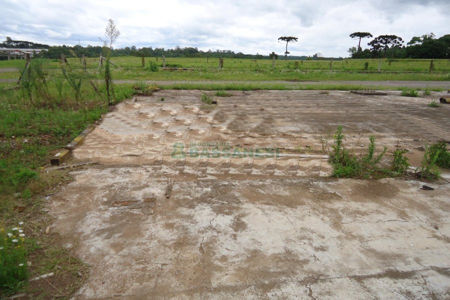 Terreno com 25000m², no bairro Cidade Nova em Caxias do Sul para Alugar