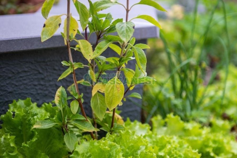 Apto Mobiliado com 40m², 1 dormitório, 1 vaga, no bairro Centro em Caxias do Sul para Comprar