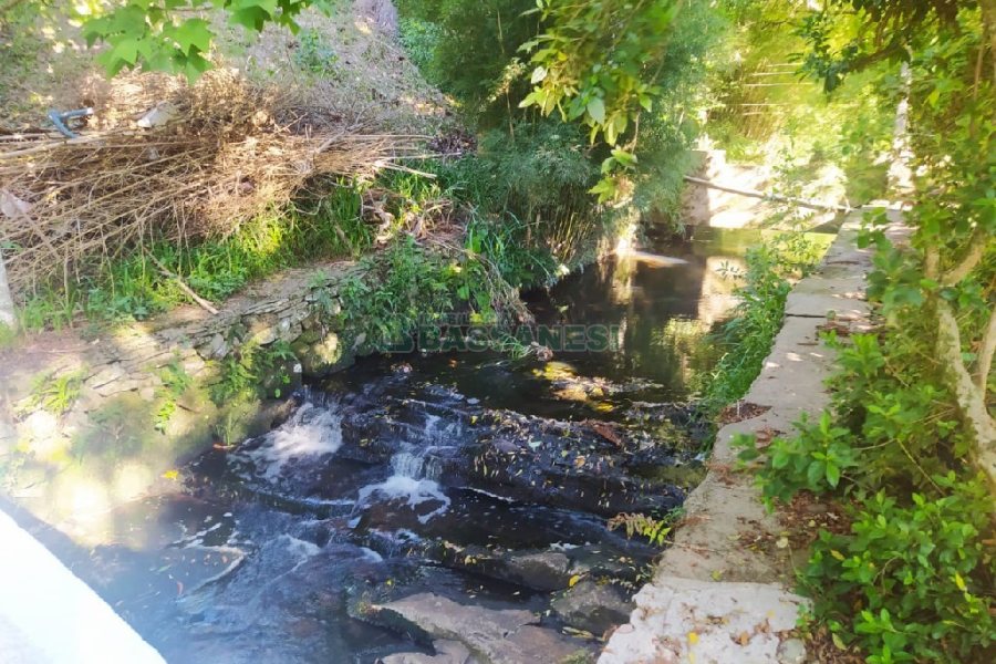 Pavilhão com 5220m², no bairro Ana Rech em Caxias do Sul para Comprar