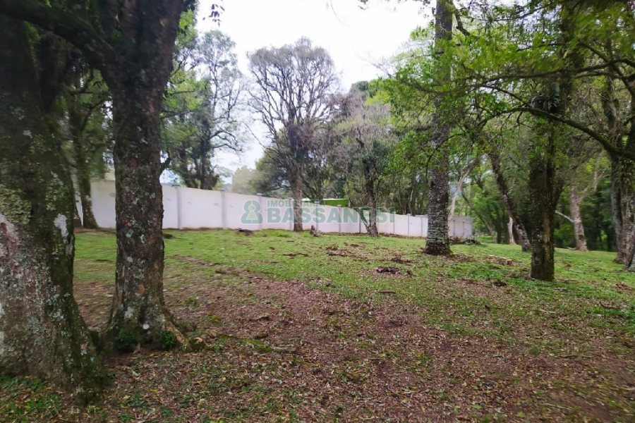 Terreno, no bairro Sagrada Família em Caxias do Sul para Comprar