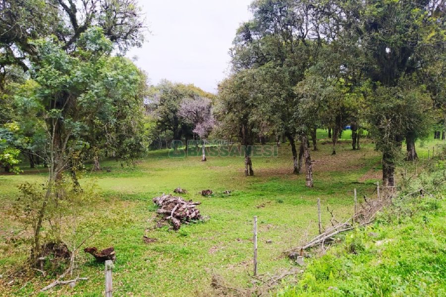 Terreno, no bairro Sagrada Família em Caxias do Sul para Comprar