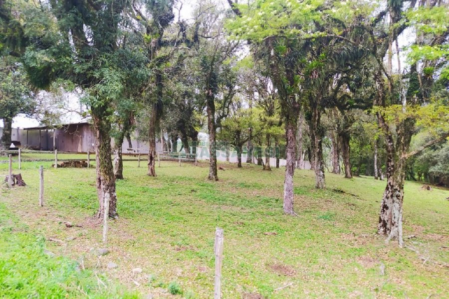 Terreno, no bairro Sagrada Família em Caxias do Sul para Comprar