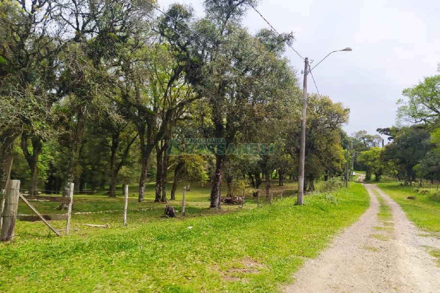 Terreno, no bairro Sagrada Família em Caxias do Sul para Comprar