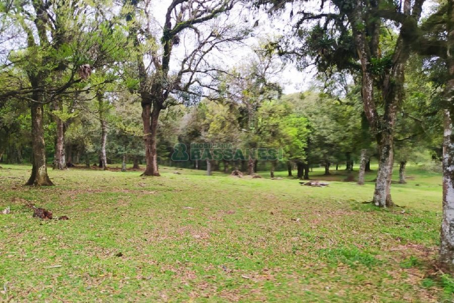 Terreno, no bairro Sagrada Família em Caxias do Sul para Comprar