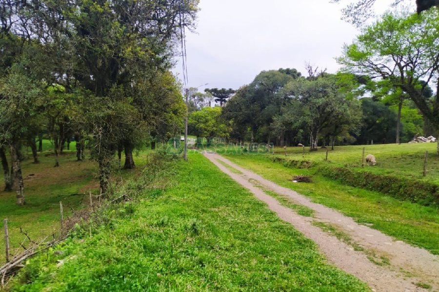 Terreno, no bairro Sagrada Família em Caxias do Sul para Comprar