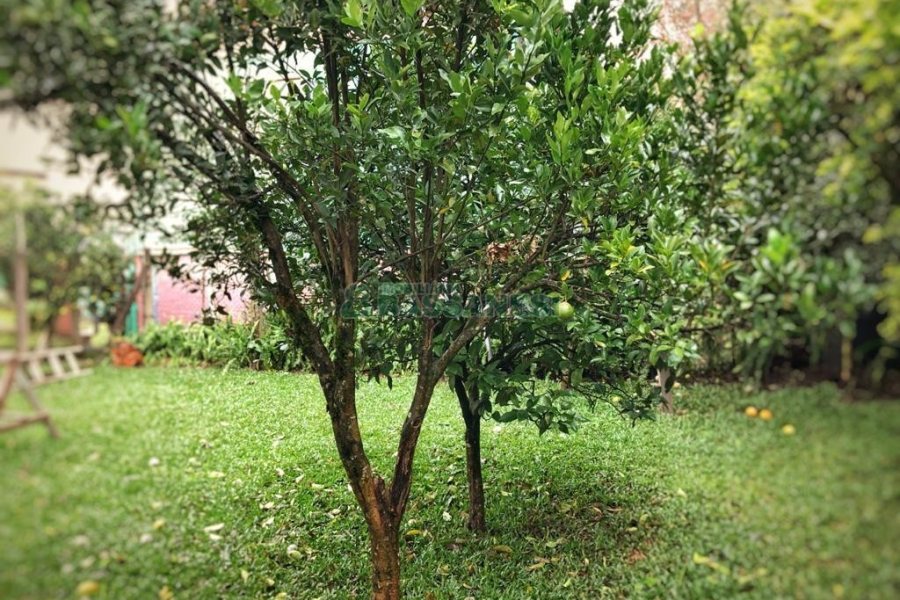 Casa Comercial com 254m², 8 dormitórios, 3 vagas, no bairro Jardim América em Caxias do Sul para Alugar