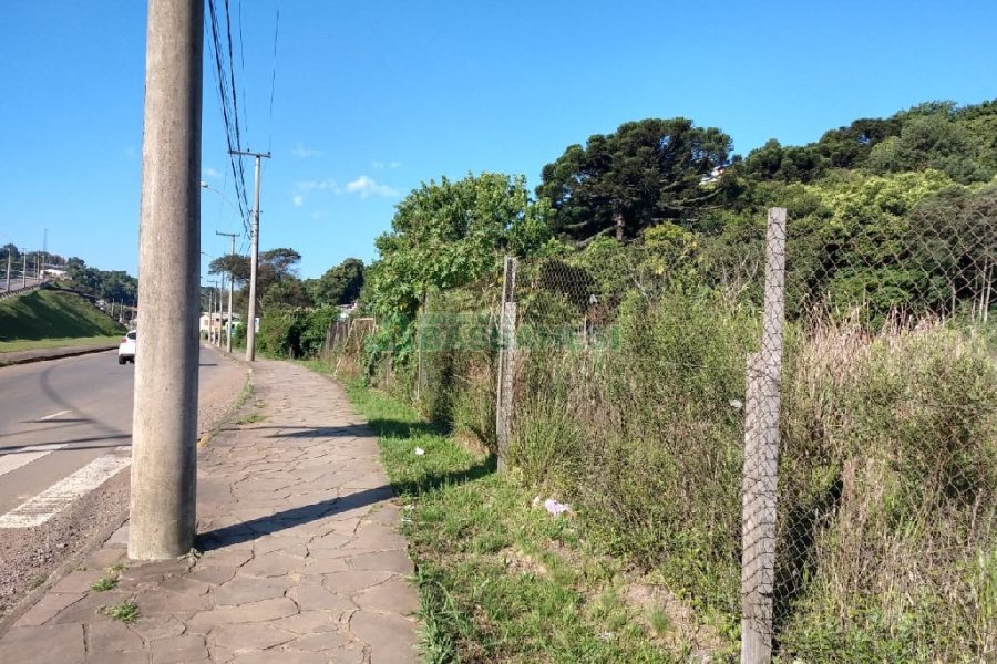 Terreno, no bairro Fatima em Caxias do Sul para Comprar