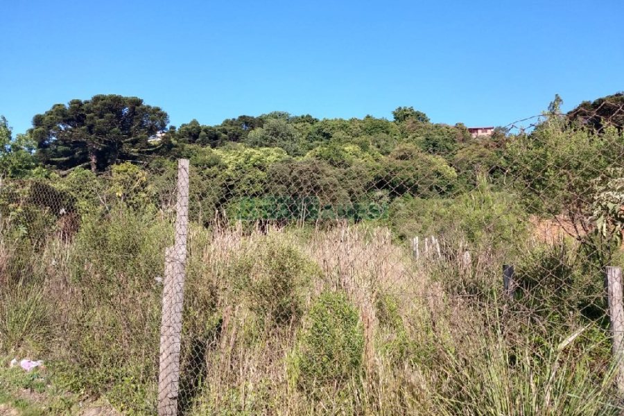 Terreno, no bairro Fatima em Caxias do Sul para Comprar