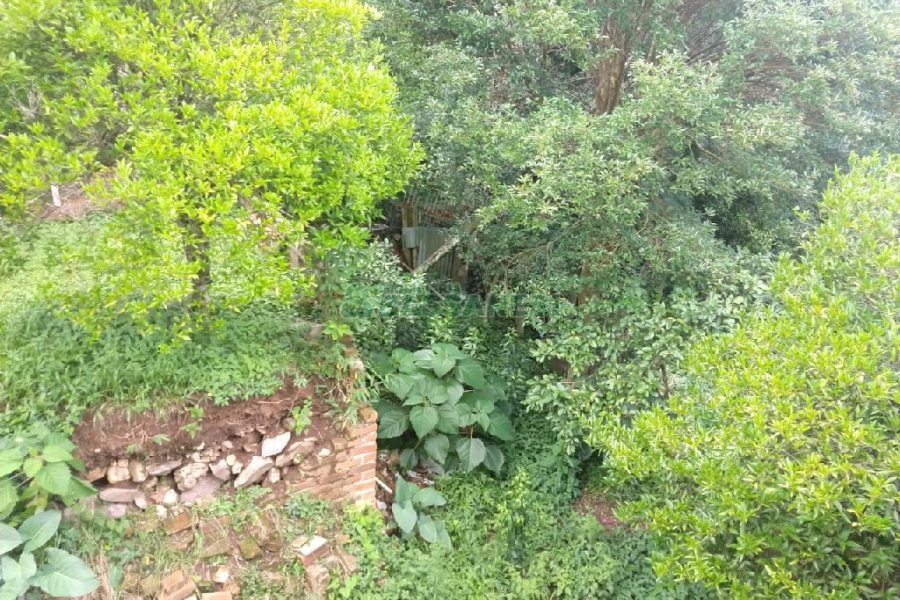 Casa com 100m², 3 dormitórios, 1 vaga, no bairro Panazzolo em Caxias do Sul para Comprar