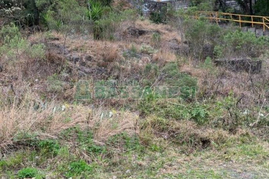 Terreno com 360m², no bairro Santa Corona em Caxias do Sul para Comprar