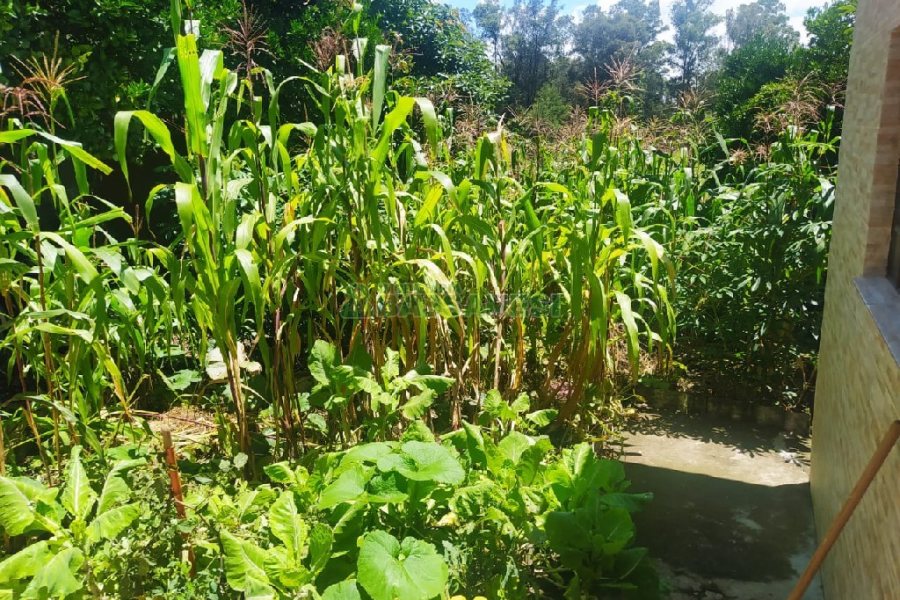 Casa com 143m², 3 dormitórios, 2 vagas, no bairro Desvio Rizzo em Caxias do Sul para Comprar