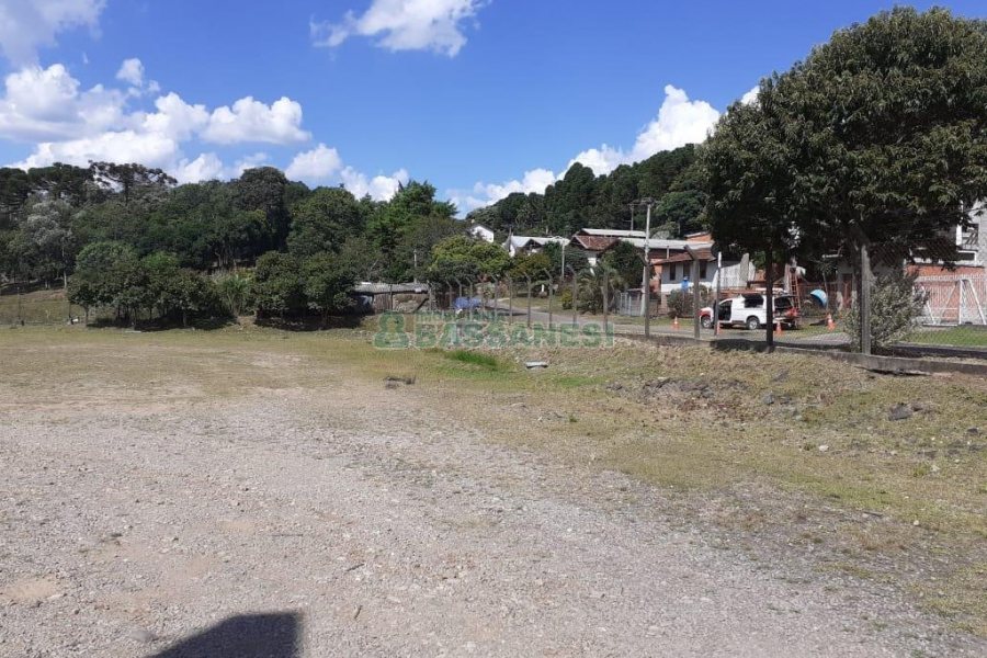 Terreno com 25000m², no bairro Pedancino em Caxias do Sul para Alugar