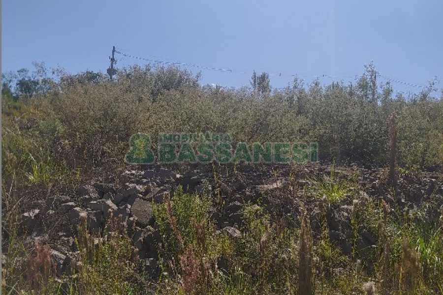 Terreno, no bairro São Giácomo em Caxias do Sul para Comprar