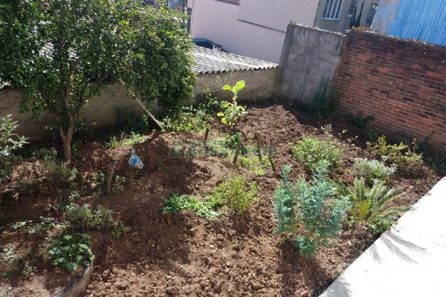 Casa com 209m², 4 dormitórios, 3 vagas, no bairro Marechal Floriano em Caxias do Sul para Comprar