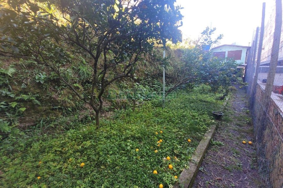 Casa Comercial com 190m², 3 dormitórios, no bairro Lourdes em Caxias do Sul para Alugar