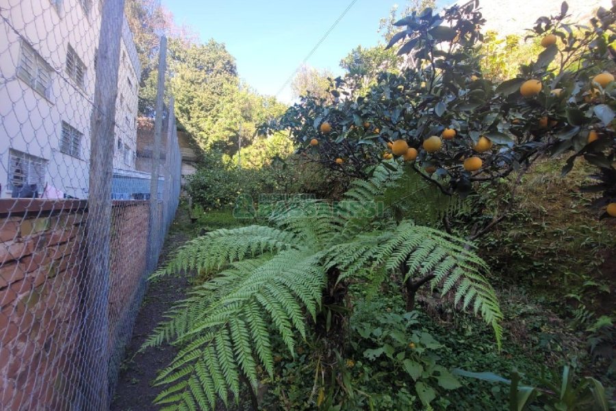 Casa Comercial com 190m², 3 dormitórios, no bairro Lourdes em Caxias do Sul para Alugar