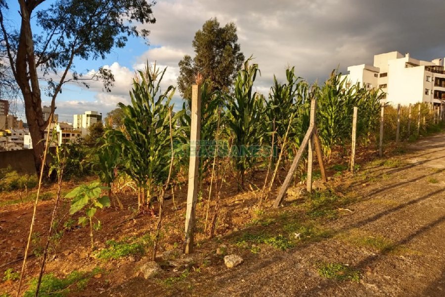 Terreno, no bairro Marechal Floriano em Caxias do Sul para Comprar