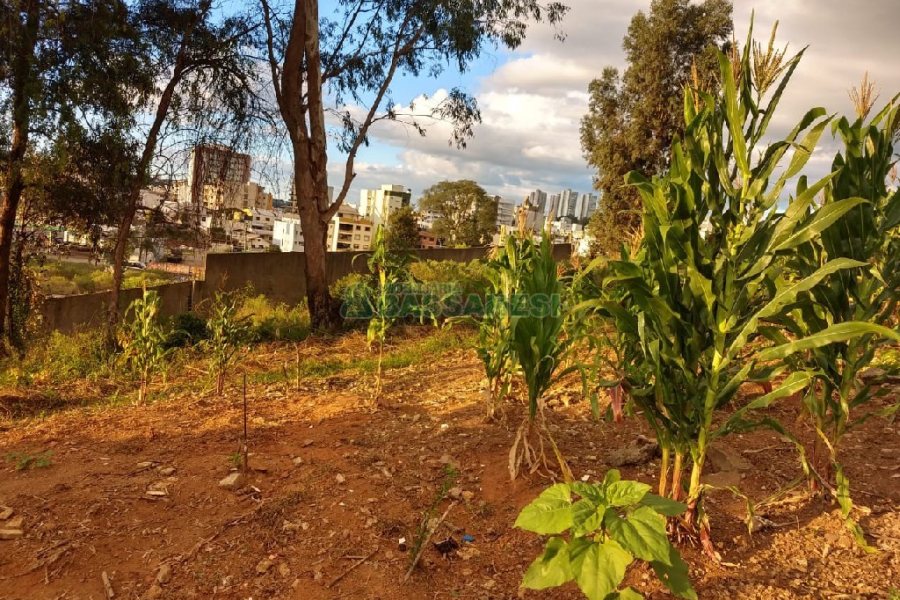 Terreno, no bairro Marechal Floriano em Caxias do Sul para Comprar