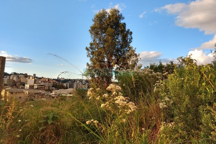 Terreno, no bairro Marechal Floriano em Caxias do Sul para Comprar