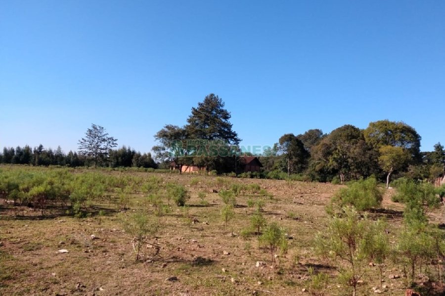 Terreno, no bairro Industrial em Caxias do Sul para Comprar