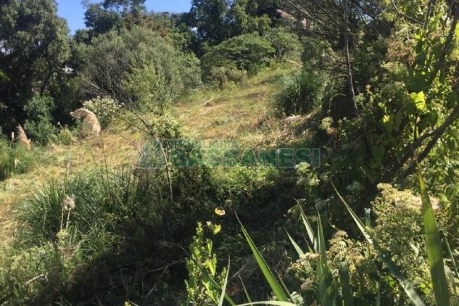 Terreno, no bairro Nossa Senhora das Graças em Caxias do Sul para Comprar
