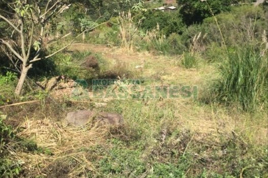 Terreno, no bairro Nossa Senhora das Graças em Caxias do Sul para Comprar