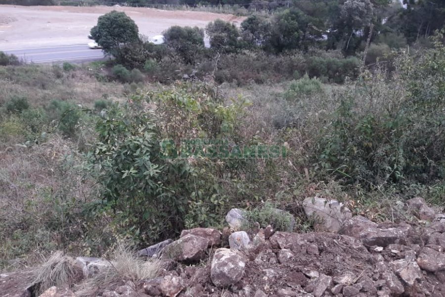 Terreno, no bairro Centro em Flores da Cunha para Comprar