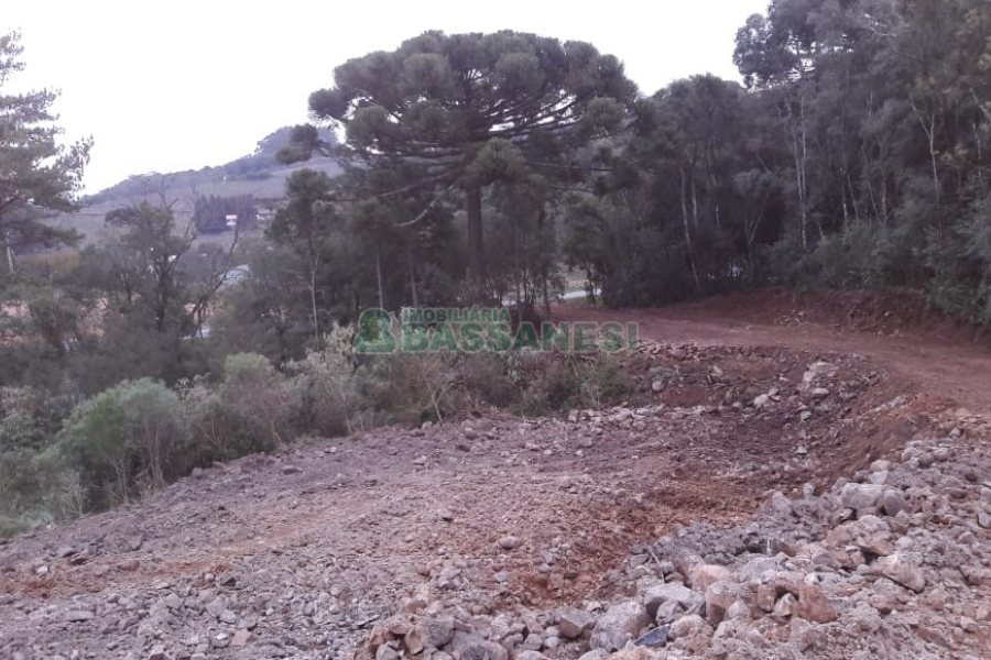 Terreno, no bairro Centro em Flores da Cunha para Comprar