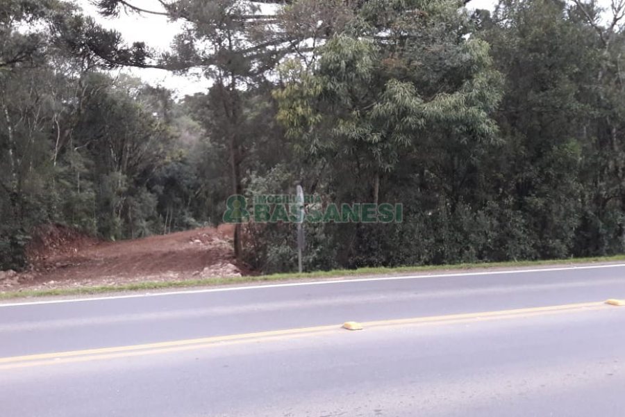 Terreno, no bairro Centro em Flores da Cunha para Comprar