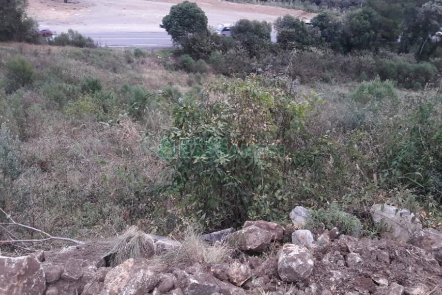 Terreno, no bairro Centro em Flores da Cunha para Comprar