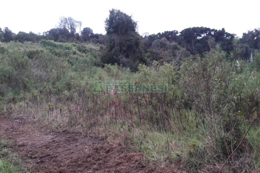 Terreno, no bairro Centro em Flores da Cunha para Comprar