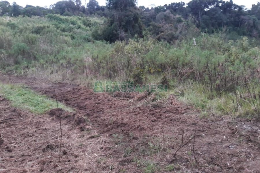 Terreno, no bairro Centro em Flores da Cunha para Comprar