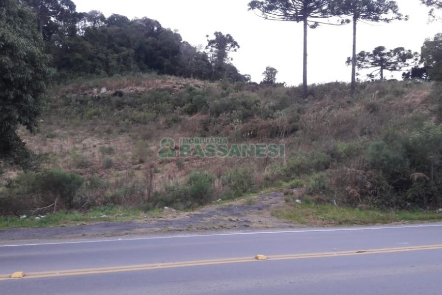 Terreno, no bairro Centro em Flores da Cunha para Comprar