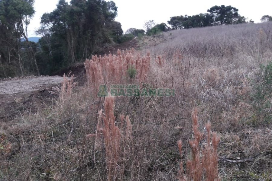 Terreno, no bairro Centro em Flores da Cunha para Comprar