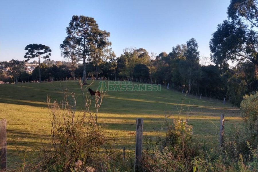 Terreno com 67996m², no bairro São Ciro em Caxias do Sul para Comprar