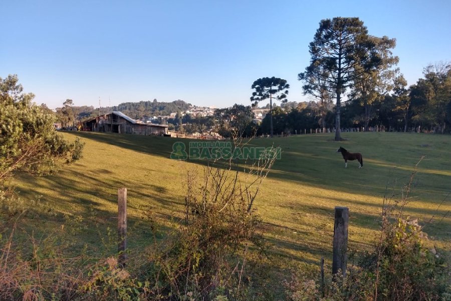 Terreno com 67996m², no bairro São Ciro em Caxias do Sul para Comprar