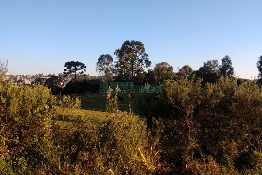Terreno com 67996m², no bairro São Ciro em Caxias do Sul para Comprar