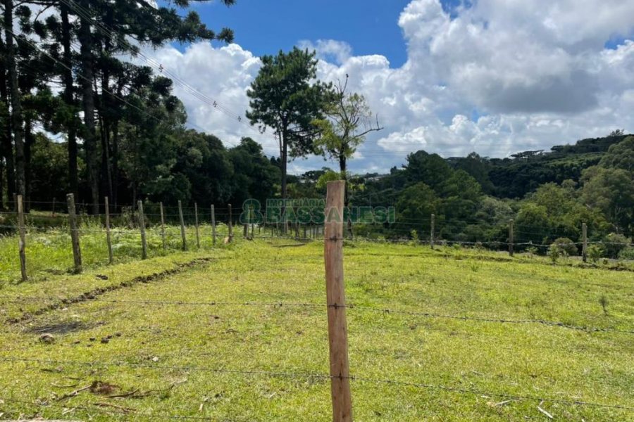 Terreno com 67996m², no bairro São Ciro em Caxias do Sul para Comprar